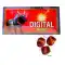 Digital Bomb (10 Pcs) Digital Bomb (10 Pcs)
